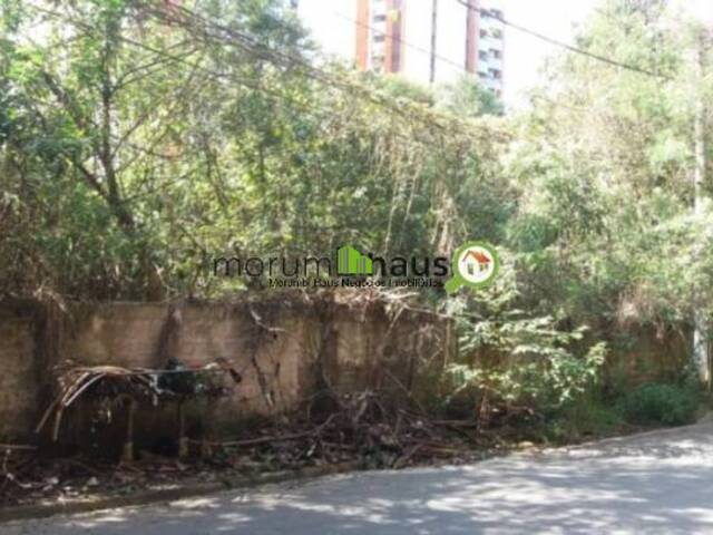 Terreno para Venda em São Paulo - 5